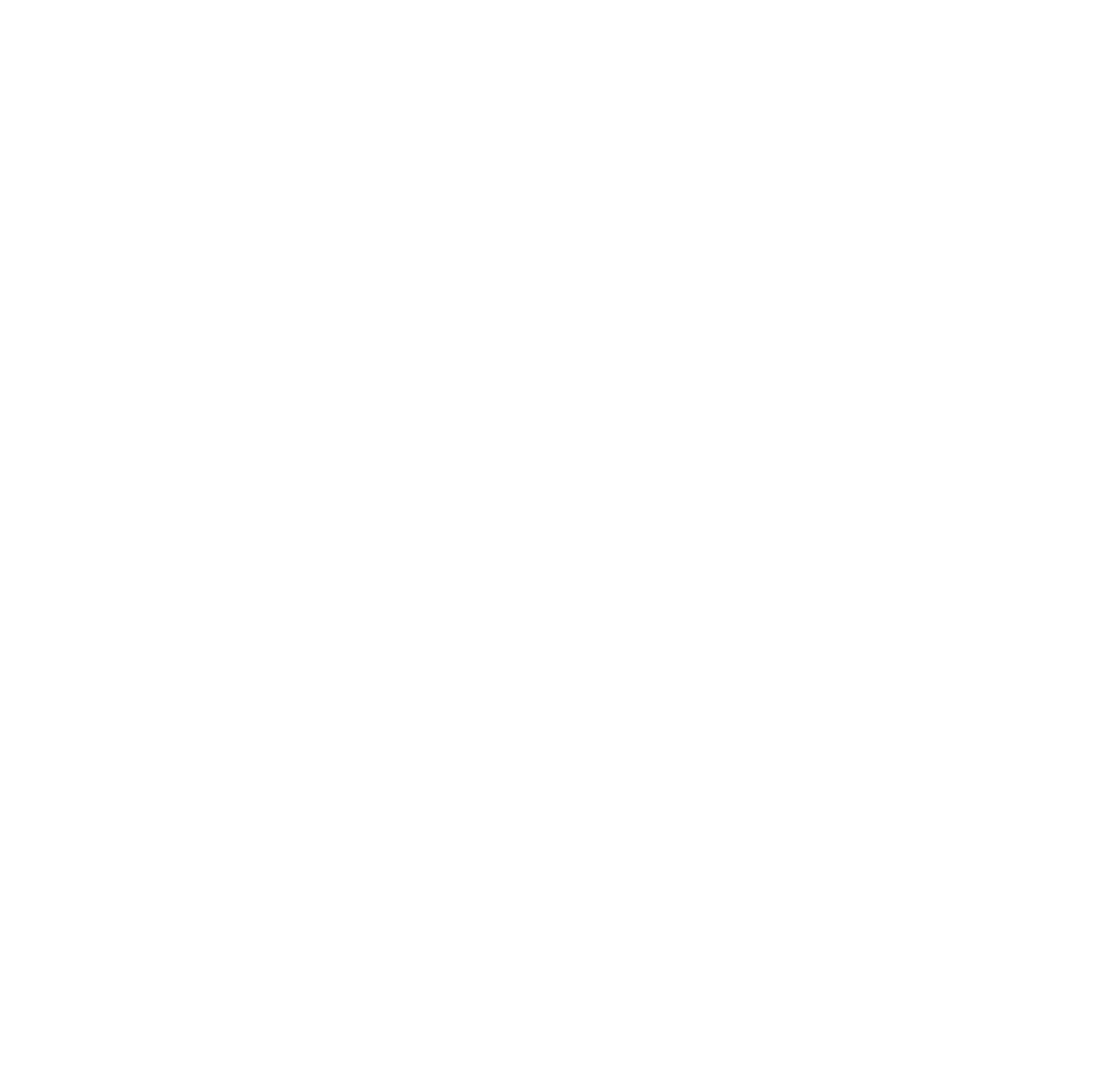 Nyros